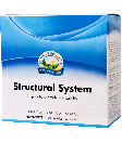 Structural System (30 Day Program)